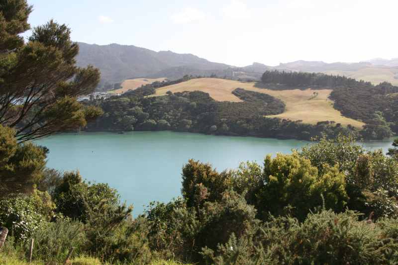 Nieuw-Zeeland 2011 - 0304